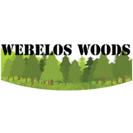 Webelos Woods 2015