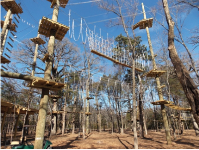 April 2018 Trinity Forest Adventure Park