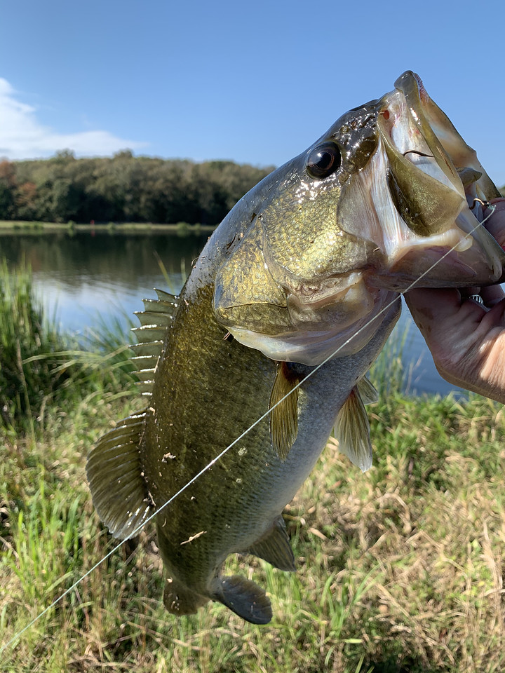 Fishing @ Camp Trevor Rees–Jones Scout Camp